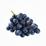 Trauben blau
