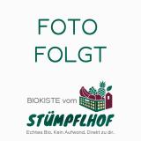platzhalter