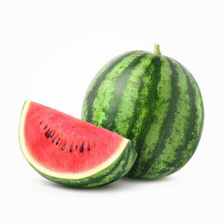 Wassermelone Mini