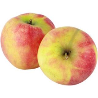 Apfel Elstar 10 kg Kiste