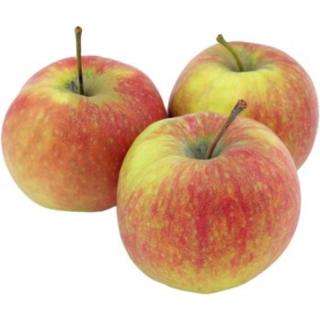 Apfel Jonagold
