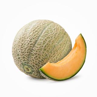 Melone Galia