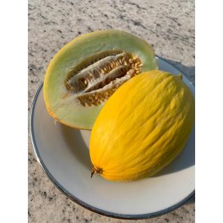 Melone Canary