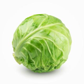 Weißkraut