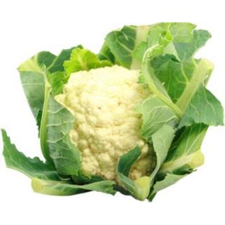 Blumenkohl