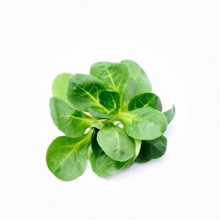 Feldsalat 100g