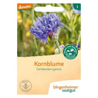 Saatgut Kornblume