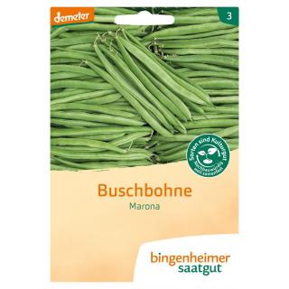 Saatgut Buschbohne Marona