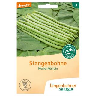 Saatgut Stangenbohne Neckarkönigin