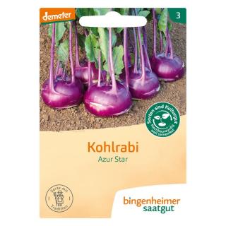 Saatgut Kohlrabi Azur Star