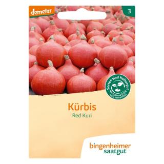 Saatgut Hokkaido-Kürbis Red Kuri
