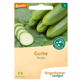 Saatgut Gurke