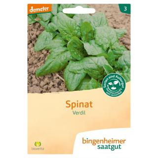 Saatgut Spinat Verdil