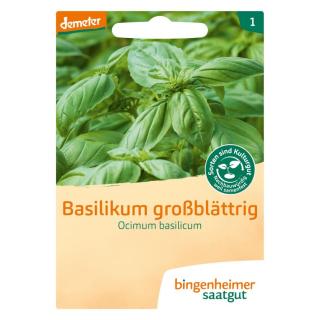 Saatgut Basilikum