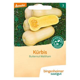 Saatgut Butternut Waltham