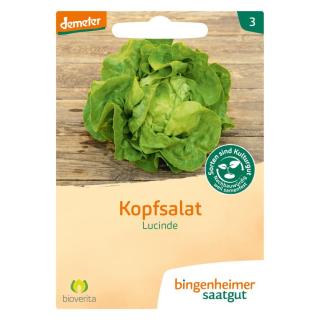 Saatgut Kopfsalat
