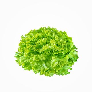 Salat grün