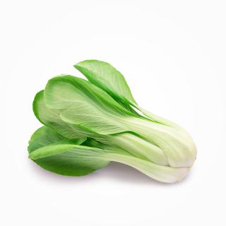 Pak Choy