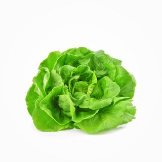 Kopfsalat